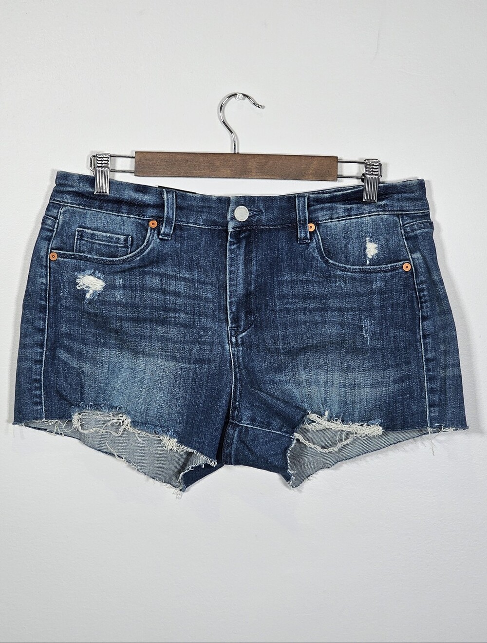 Blank NYC NWT The Astor Denim Distressed Mini Shorts Sz 30